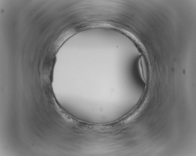 X0000062900905200602031829