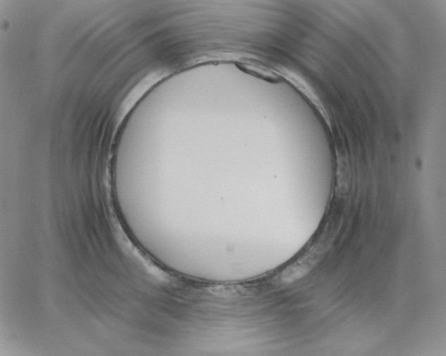 X0000062900906200602031829