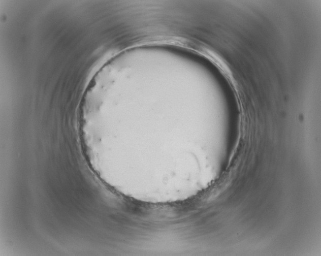 X0000062900907200602031829