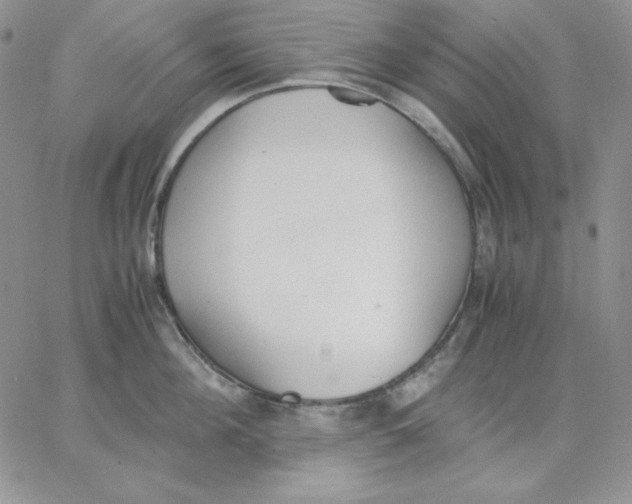 X0000062900908200602031829