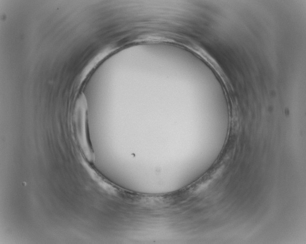 X0000062900909200602031829