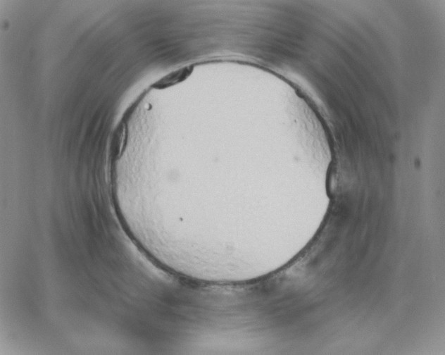 X0000062900910200602031829