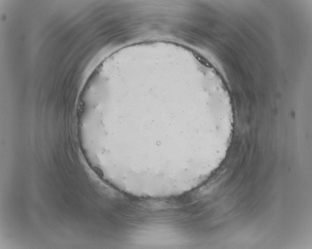 X0000062900911200602031829