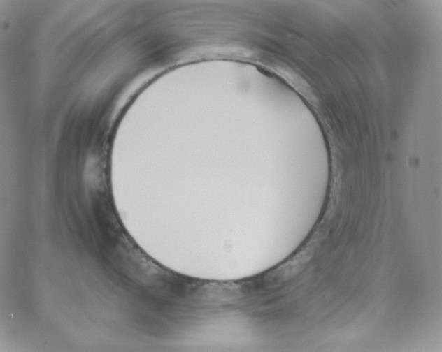 X0000062900912200602031829