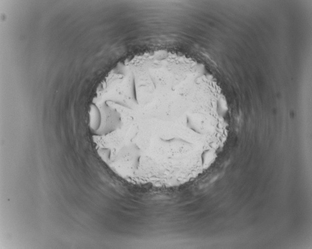 X0000062900913200602031828