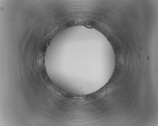 X0000062900914200602031828