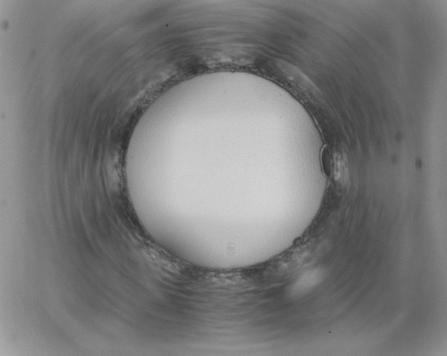 X0000062900915200602031828