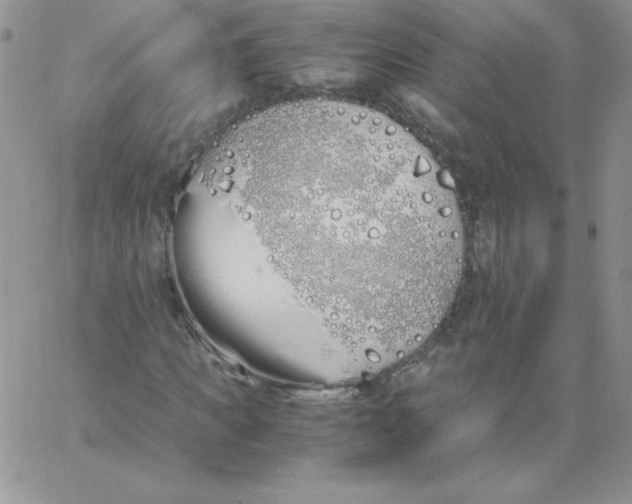 X0000062900917200602031828