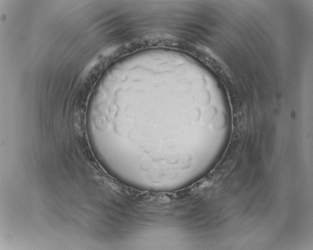 X0000062900919200602031828