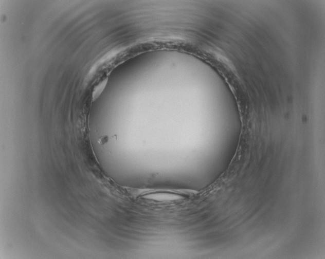 X0000062900920200602031828