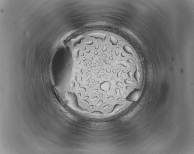 X0000062900921200602031828