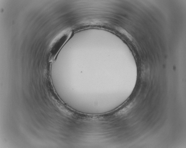 X0000062900922200602031828