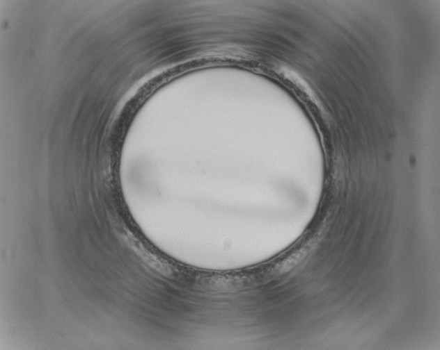 X0000062900923200602031828