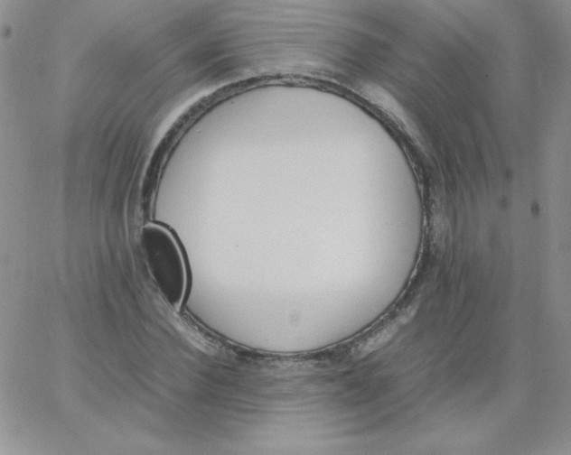 X0000062900924200602031828