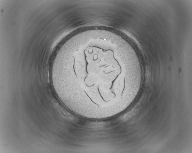 X0000062900925200602031828