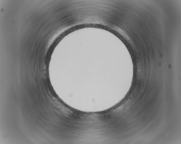 X0000062900926200602031828