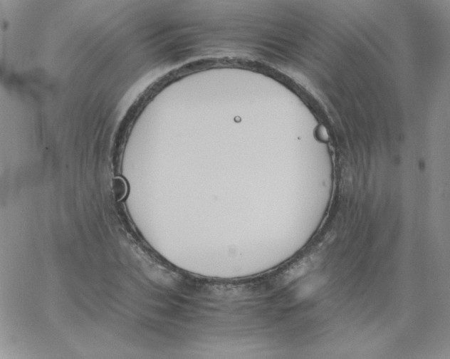 X0000062900927200602031828