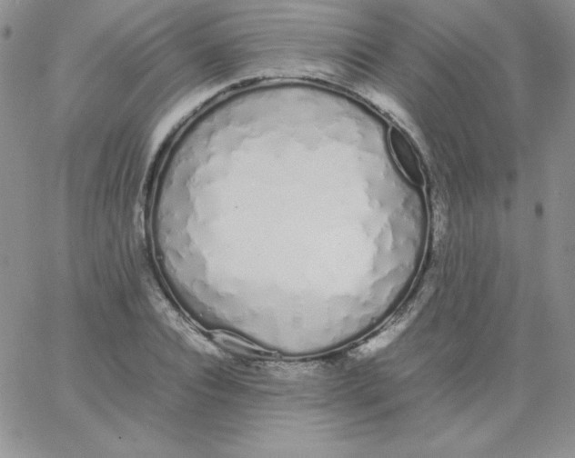 X0000062900928200602031828