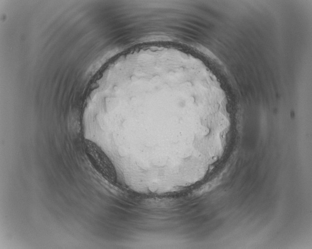 X0000062900929200602031828