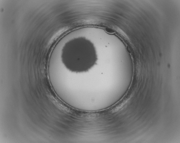 X0000062900930200602031828