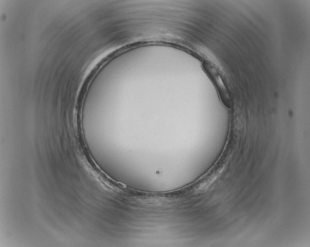 X0000062900932200602031828