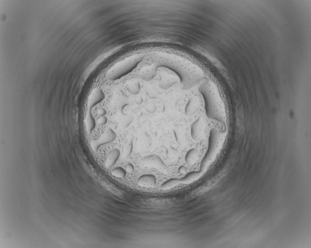 X0000062900933200602031828