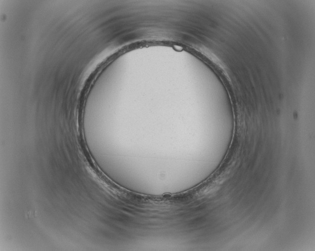 X0000062900935200602031828