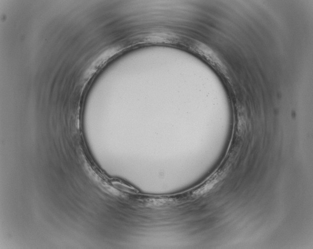 X0000062900938200602031828