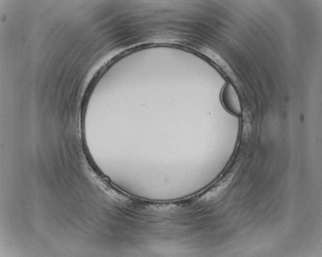 X0000062900939200602031828