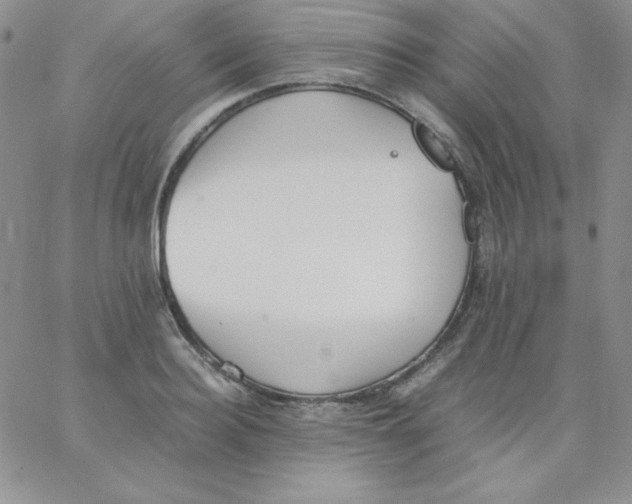 X0000062900940200602031828