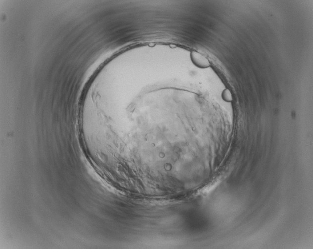 X0000062900941200602031828