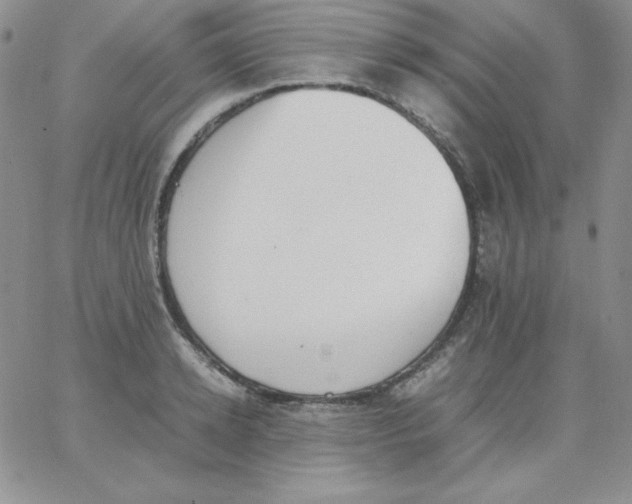 X0000062900942200602031828