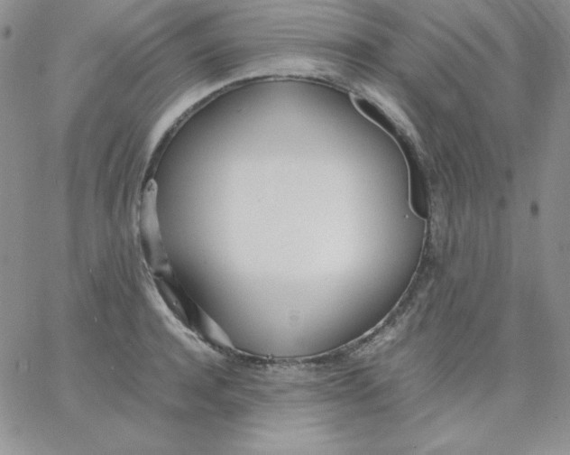 X0000062900944200602031828