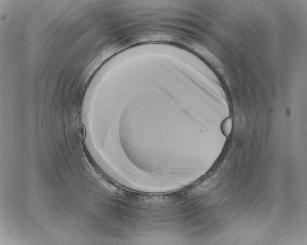 X0000062900945200602031828