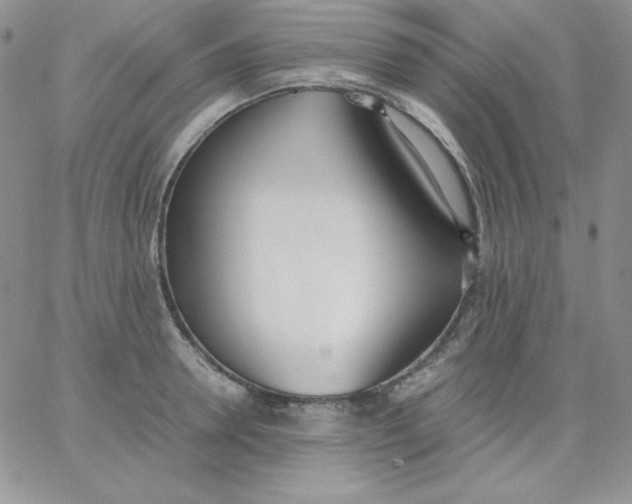 X0000062900946200602031828