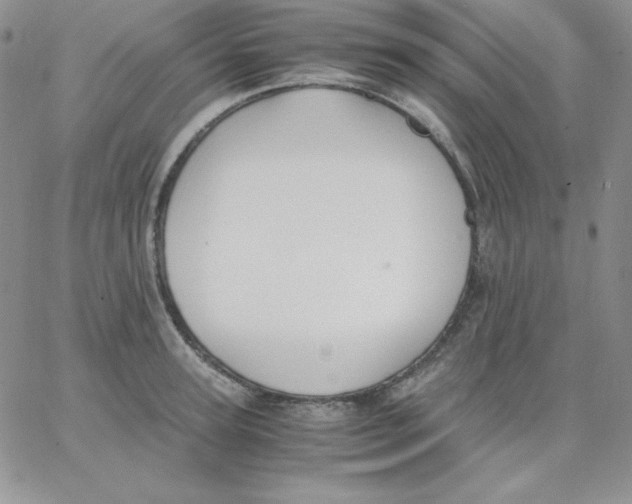 X0000062900947200602031828