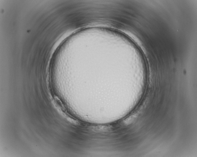 X0000062900949200602031829