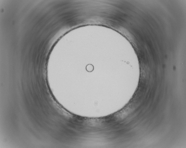 X0000062900950200602031829