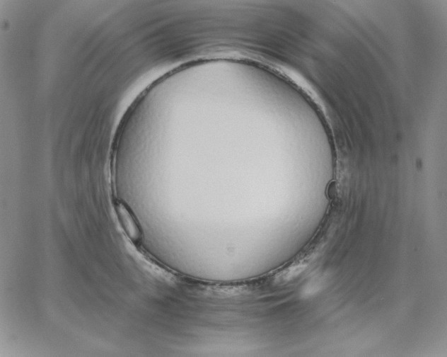 X0000062900951200602031829