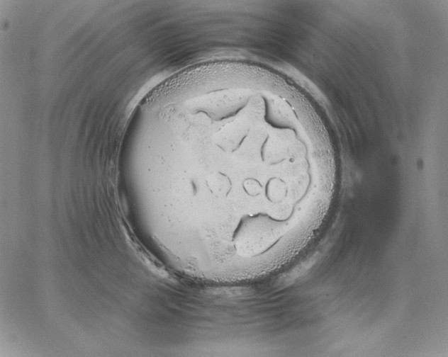 X0000062900953200602031829