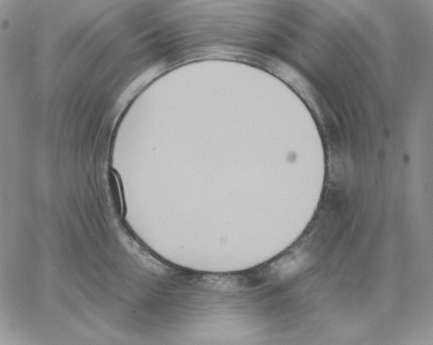 X0000062900954200602031829