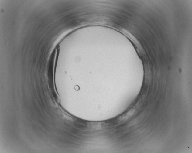 X0000062900956200602031829