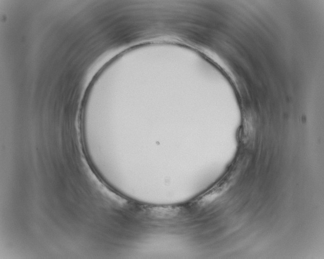 X0000062900959200602031829