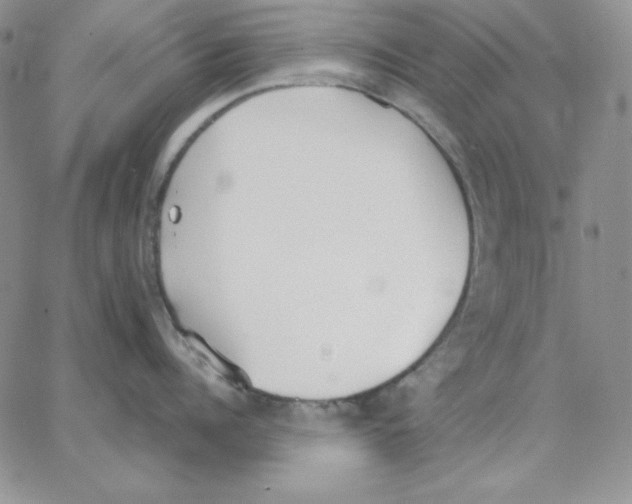 X0000062900960200602031829