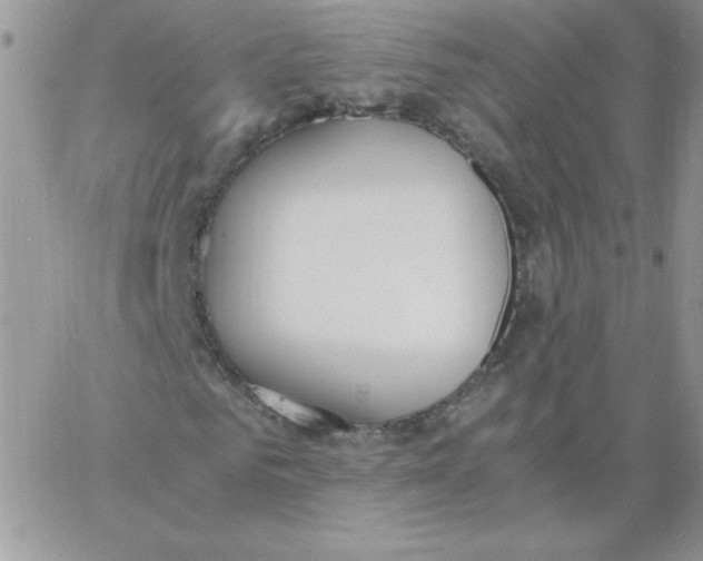 X0000062900961200602031828