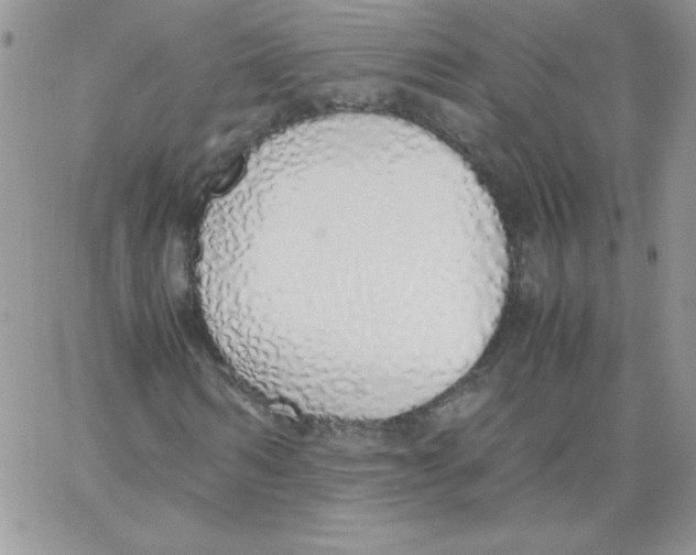 X0000062900962200602031828