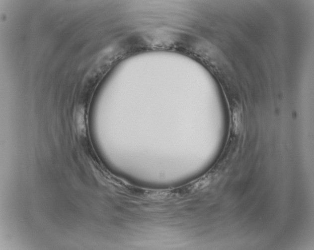 X0000062900963200602031828