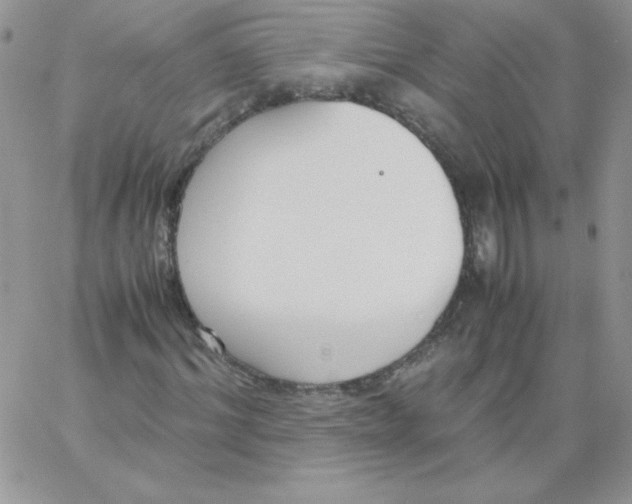 X0000062900964200602031828