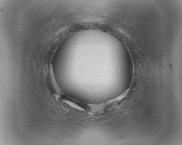 X0000062900965200602031828