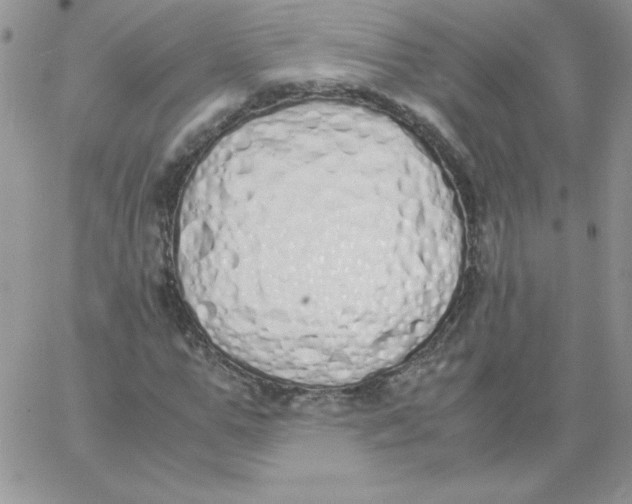 X0000062900967200602031828